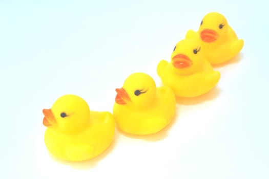 Yellow rubber duck toy on White Background