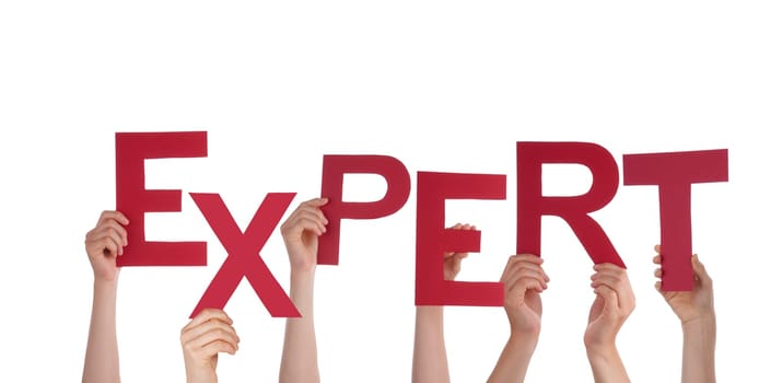Many Hands Holding the Red Word Expert, Isolated