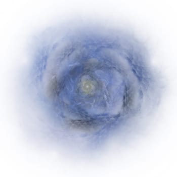 Blue rose over white background. Tenderness, fragility and softness concept.