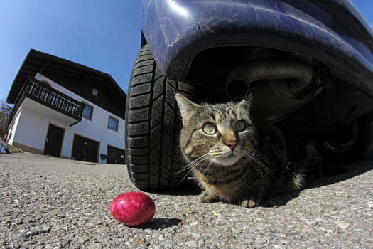 Dangerous Easter