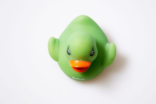 Duck
