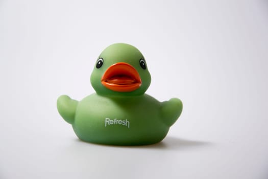 Duck