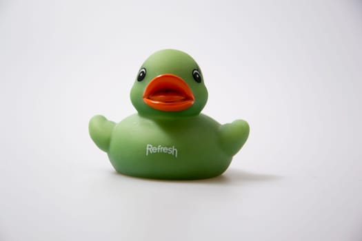 Duck