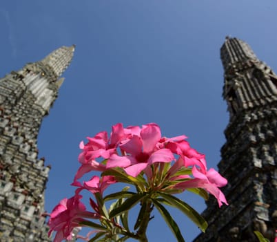 The temple complex of Wat Arun on the Mae Nam Chao Phraya River in the capital Bangkok of Thailand in South East Asia.