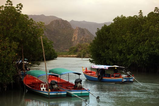 The river landscape of Khao Sam Roi Yot National Park on the Gulf of Thailand in the south western of Thailand in South East Asia.