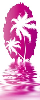 Palm trees