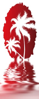 Palm trees
