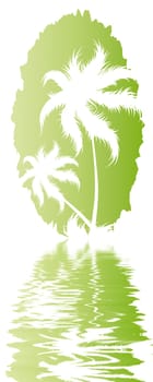 Palm trees