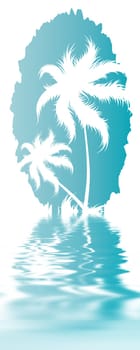 Palm trees
