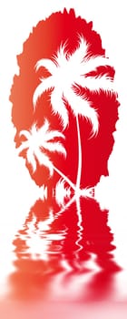 Palm trees