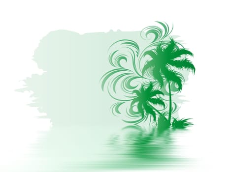 Palm trees
