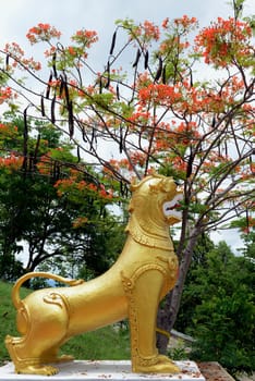 Die Landschaft mit der Bergstrasse zwischen Mae Hong on und pai in der Bergregion von Mae Hong Son im norden von Thailand in Suedostasien.