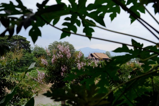 The landscape with the mountain road between Mae Hong on and pai in the mountain oust of Mae Hong Son in the north of Thailand in South East Asia.