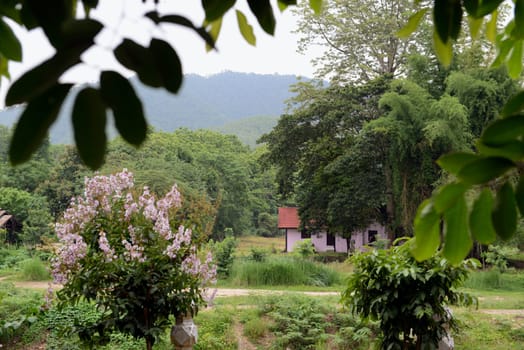 The landscape with the mountain road between Mae Hong on and pai in the mountain oust of Mae Hong Son in the north of Thailand in South East Asia.
