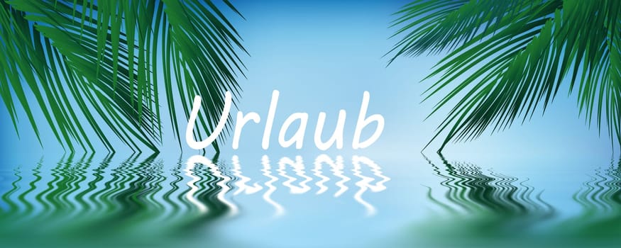 Palm trees