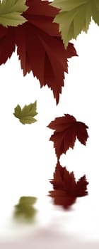 autumn