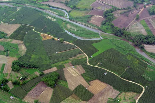 The landscape with the mountain road between Mae Hong on and pai in the mountain oust of Mae Hong Son in the north of Thailand in South East Asia.