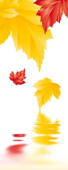 autumn