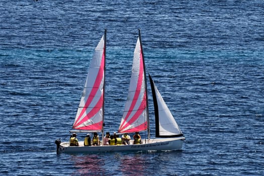 Sailing boat at Le Lavandou,Cote d'Azur,South of France - Sailing boat near Le Lavandou,Cote d'Azur,Southern France,Europe