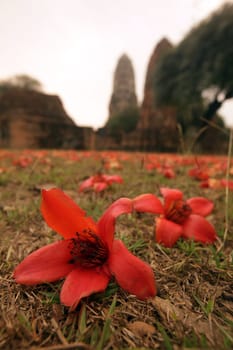 Wat Ratburana Temple in the temple city of Ayutthaya in Thailand