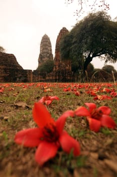 Wat Ratburana Temple in the temple city of Ayutthaya in Thailand