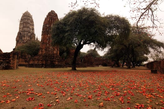 Wat Ratburana Temple in the temple city of Ayutthaya,Thailand.