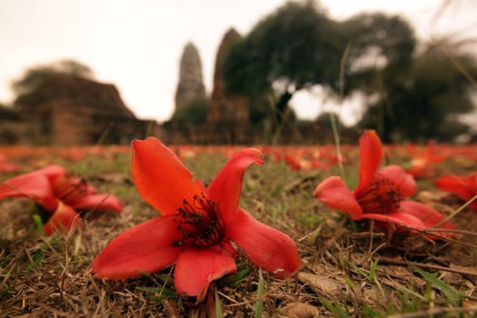 Wat Ratburana Temple in the temple city of Ayutthaya,Thailand.