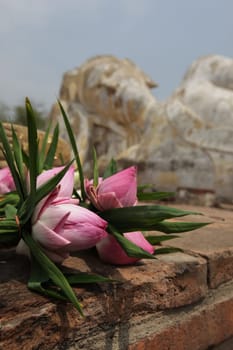 The Reclining Buddha at Wat Lokaya Sutha Temple in the temple city of Ayutthaya,Thailand.