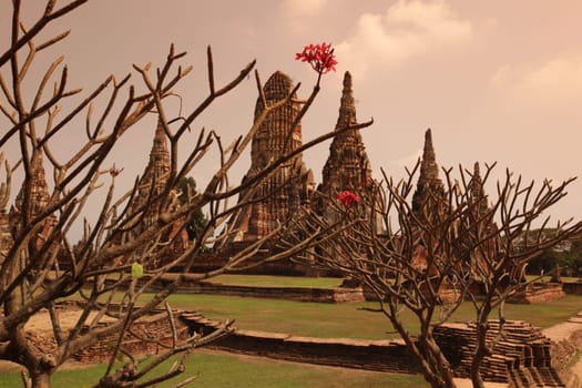 Wat Chai Wattanaram Temple in the temple city of Ayutthaya,Thailand.