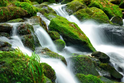 Steep mountain stream with moss-covered stones,long exposure