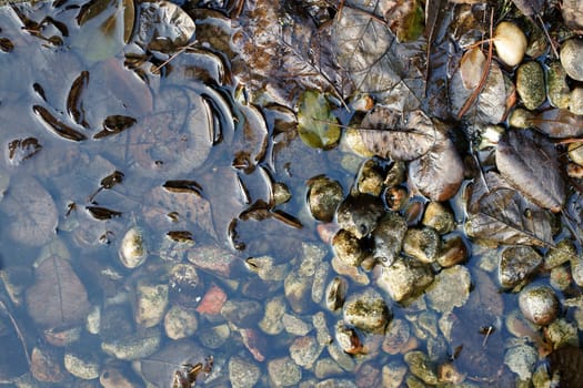 The photograph of a stone garden pond in winter with pebbles and misted leaves.