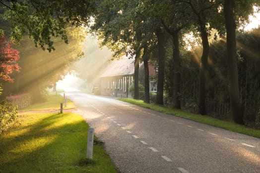 Dutch country road and farm in early morning sun after the rain