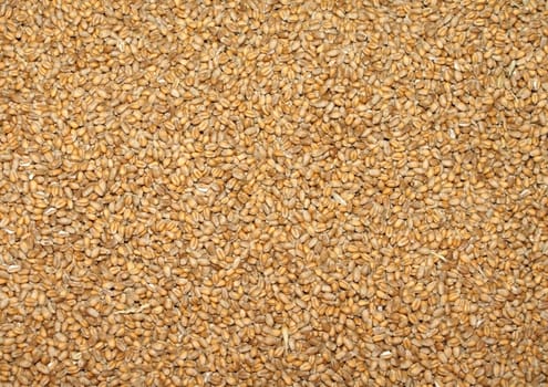 Close-up and top view on grains.