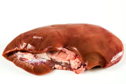 Kidney of a pig