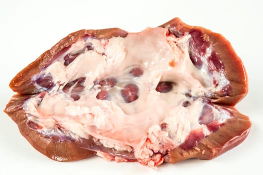 Kidney of a pig with kidney fat