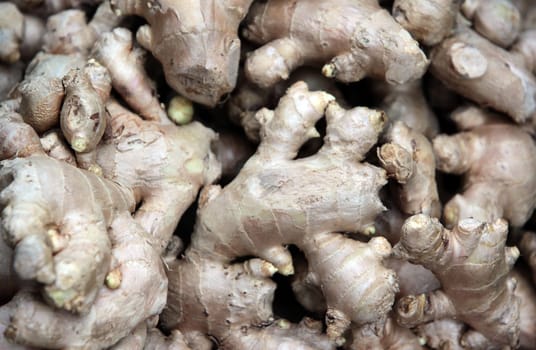 Ginger at the market of Nonthaburi in the north of Bangkok the capital of Thailand in South East Asia.
