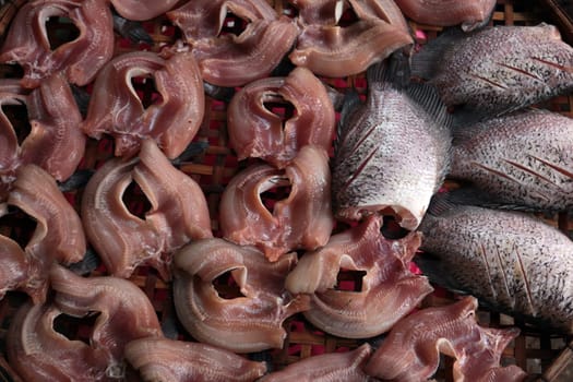 Fish at the market of Nonthaburi in the north of Bangkok the capital of Thailand in South East Asia.