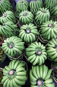 Bananas at the Pak Khlong market of Bangkok's capital of Thailand in South East Asia.