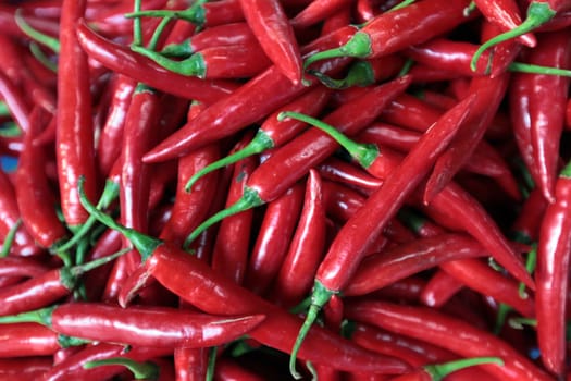 Chili at the Pak Khlong Market of Bangkok the capital of Thailand in South East Asia.