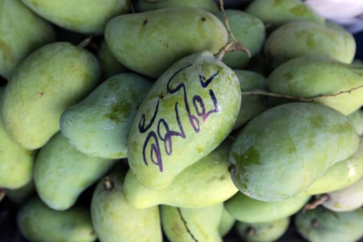Gruene mangoes at the Pak Khlong Market of Bangkok's capital of Thailand in South East Asia.