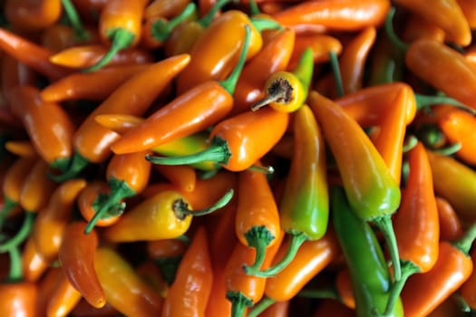 Chili at the Pak Khlong Market of Bangkok the capital of Thailand in South East Asia.