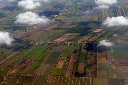 The landscape with agricultural operated east of the capital Bangkok of Thailand in South East Asia.