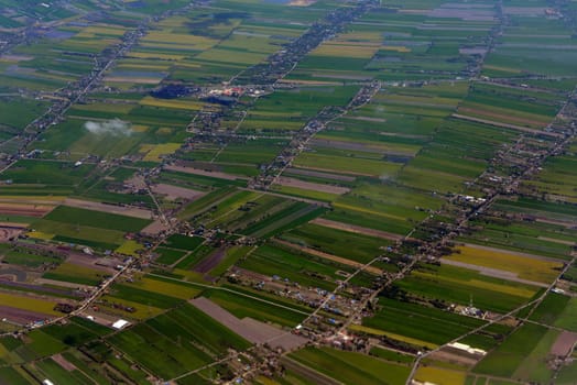 The landscape with agricultural operated east of the capital Bangkok of Thailand in South East Asia.
