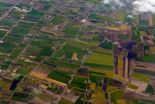 The landscape with agricultural operated east of the capital Bangkok of Thailand in South East Asia.