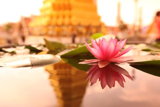 A lotus flower in Wat Phra Keo in the Temple Gelaende near the Royal Palace in the historic center of the capital Bangkok in Thailand.