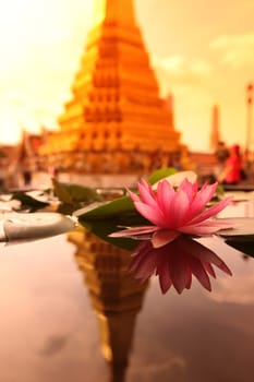 A lotus flower in Wat Phra Keo in the Temple Gelaende near the Royal Palace in the historic center of the capital Bangkok in Thailand.