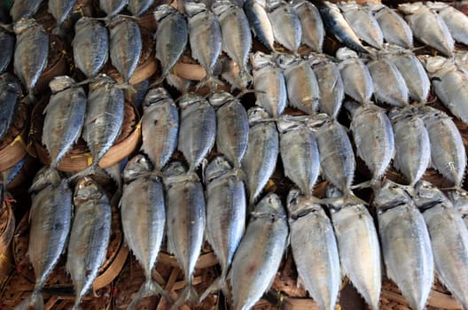 Fish at the Thewet Market in the center of the capital Bangkok in Thailand.