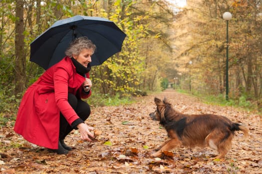 Middle aged woman in the autumn forest with her dog