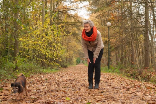 Middle aged woman in the autumn forest with her dog