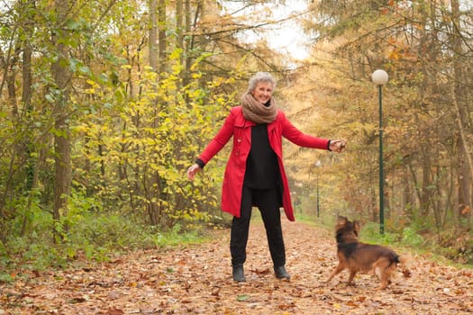 Middle aged woman in the autumn forest with her dog